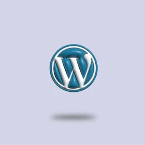 10 Essential Steps to Find a Reliable WordPress Developer in Hong Kong